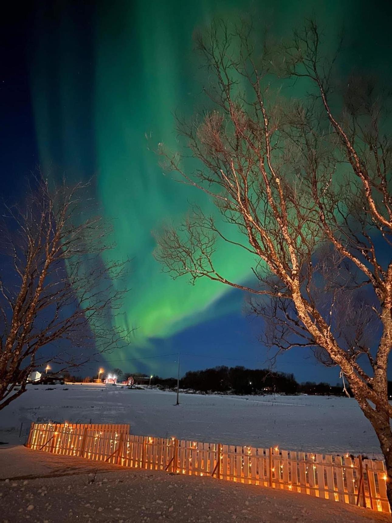 Midnattsolveien 3158,Sommarhusstrand Laukvik Lofoten Norway Luaran gambar
