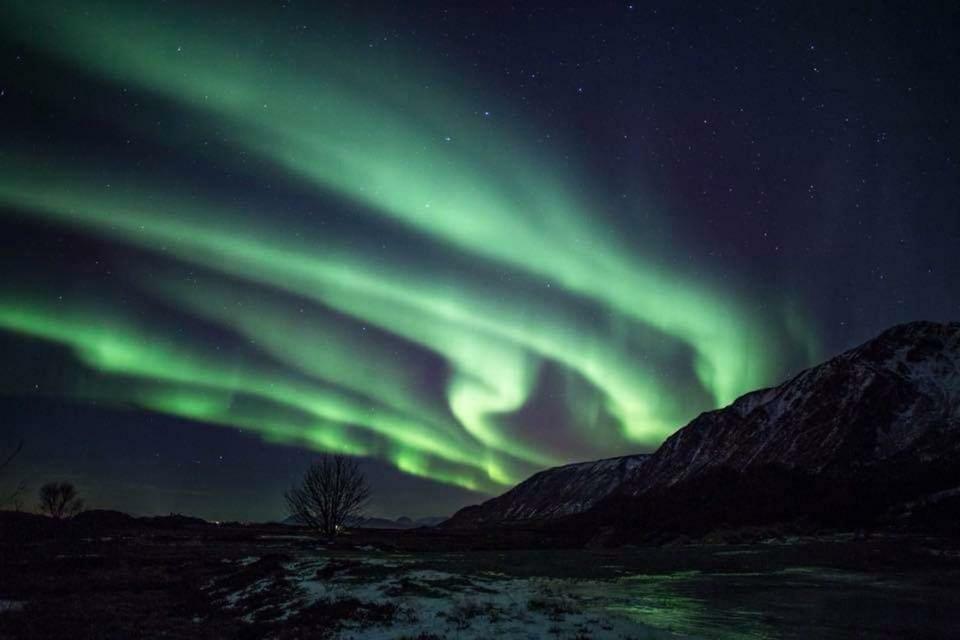 Midnattsolveien 3158,Sommarhusstrand Laukvik Lofoten Norway Luaran gambar