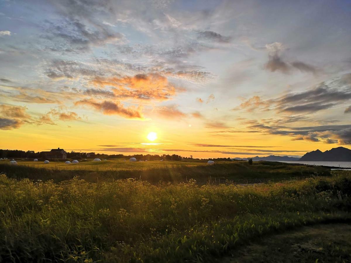 Midnattsolveien 3158,Sommarhusstrand Laukvik Lofoten Norway Luaran gambar